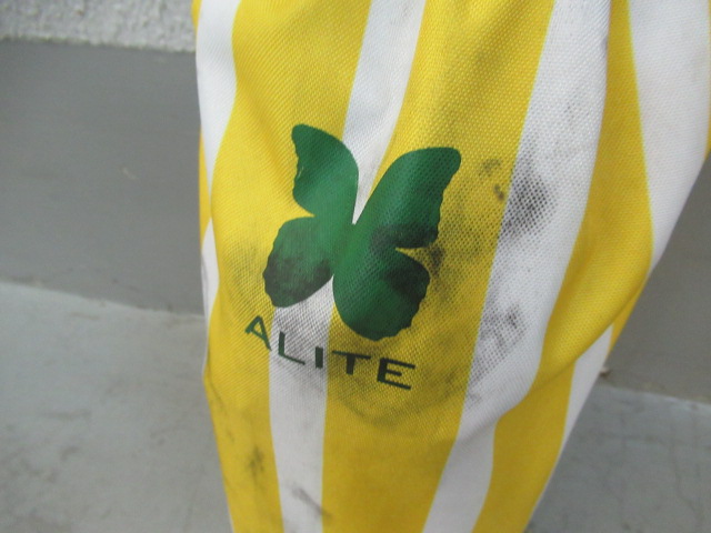 その他ブランド  ALITE エーライト マンティスチェア ストライプ (1)