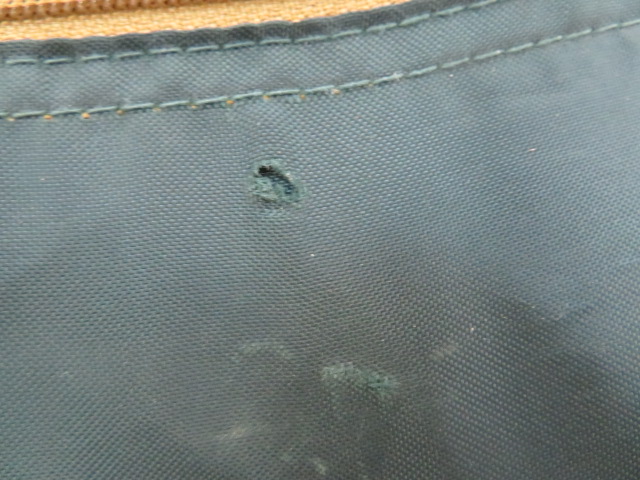 Coleman(コールマン) BCキャノピードームプラス