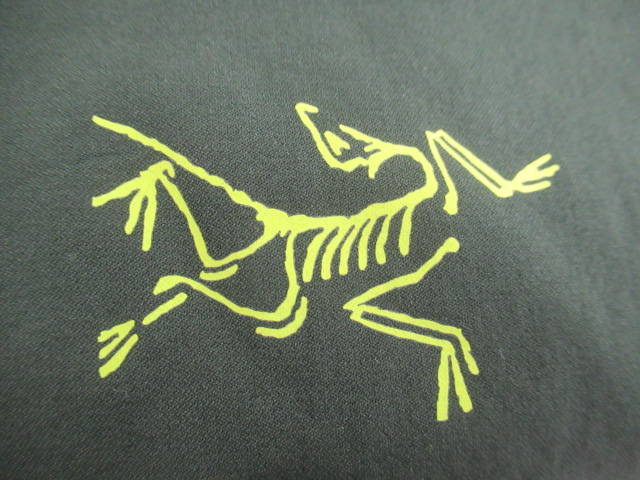 ARC'TERYX（アークテリクス）  PROTON FL HOODY