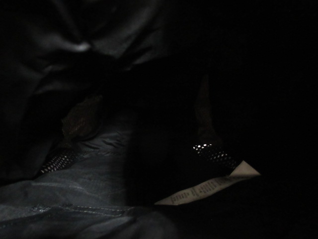 patagonia(パタゴニア) スロープ・ランナー・エクスプロレーション・パック 18L