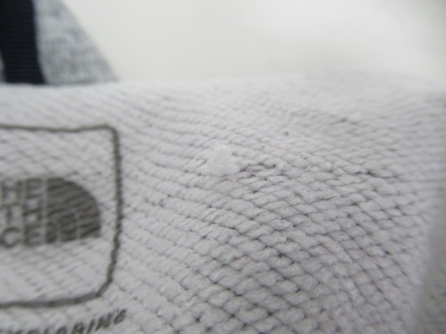 THE NORTH FACE（ノースフェイス）  カラーヘザードスウェットフーディ