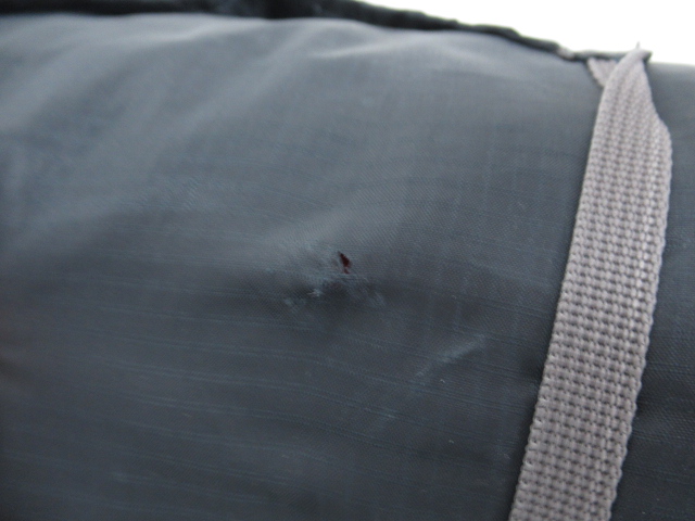 THERMAREST(サーマレスト) プロライトプラス R (1)