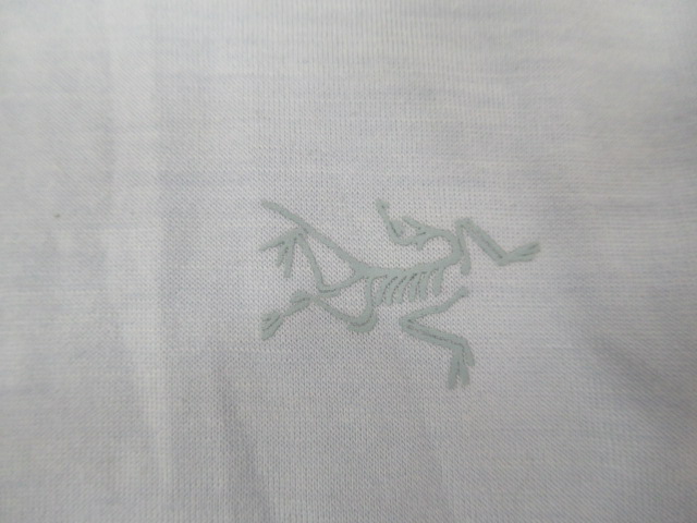 ARC'TERYX（アークテリクス）  イオニア メリノウール ロングスリーブ メンズ