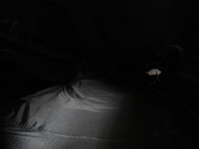 deuter（ドイター）  グラビティ エクスペディション 45+