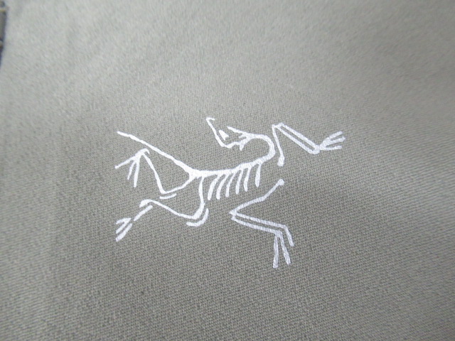 ARC'TERYX（アークテリクス）  デルタ プルオーバー フーディ メンズ