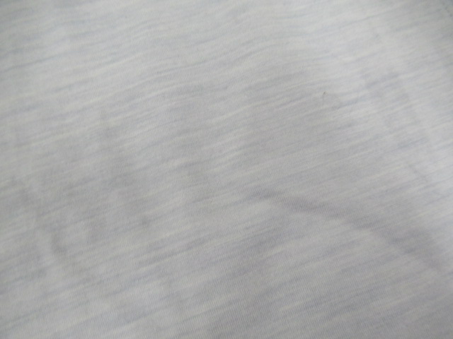 ARC'TERYX(アークテリクス) イオニア メリノウール Tシャツ メンズ