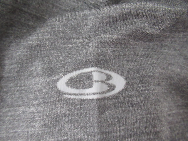 icebreaker(アイスブレーカー) W 200 ZONE LS HALF ZIP