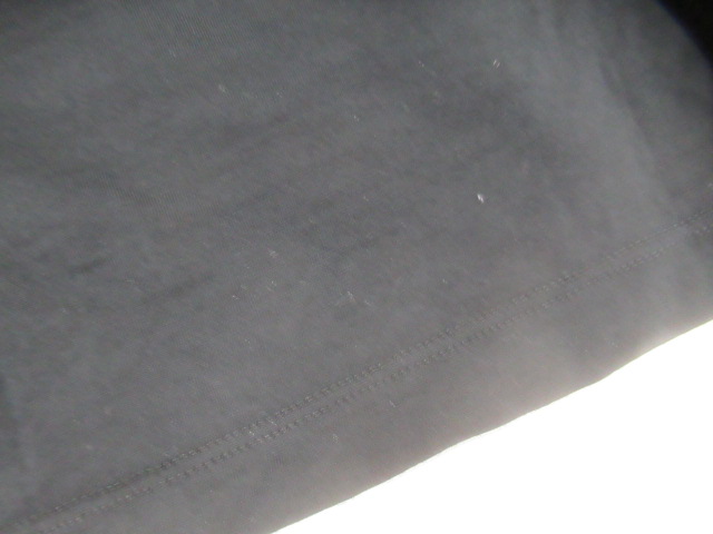 ARC'TERYX(アークテリクス) イオニア メリノウール ロゴ